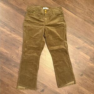 CAbi Olive Green Corduroy Boot Cut Pants with Yellow Button Accents
